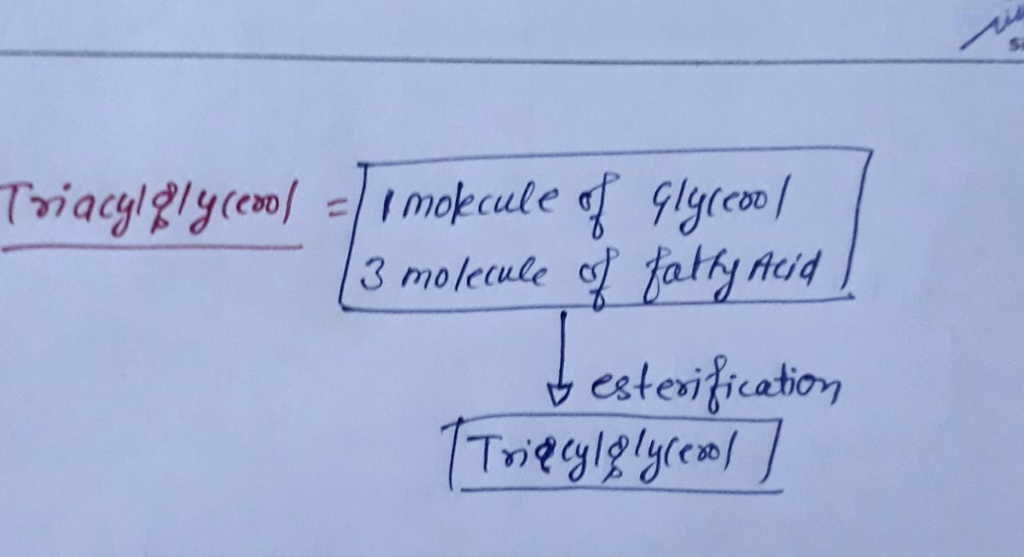 A fat (or triacylglycerol) would be formed as a result of a dehydration reaction between