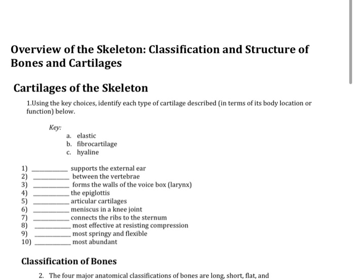 Overview of the Skeleton: Classification and Structure of Bones and Cartilages Cartilages of the Skeleton 1.Using the key cho