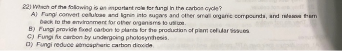 Which of the following is an important role for fungi in the carbon cycle?