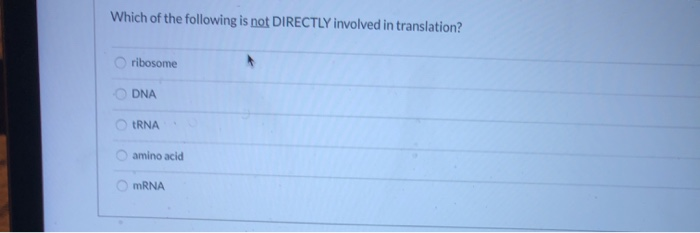 Which of the following is not directly involved in translation