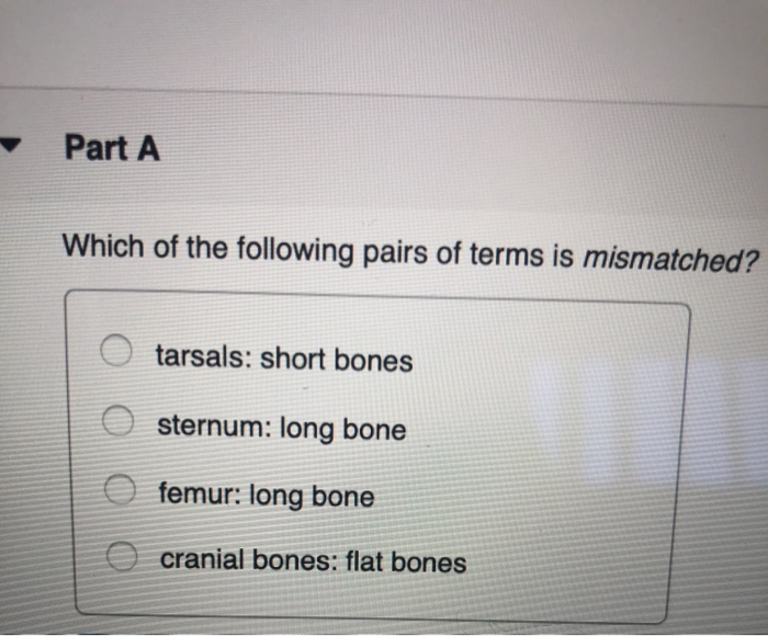 Which of the following pairs of terms is mismatched