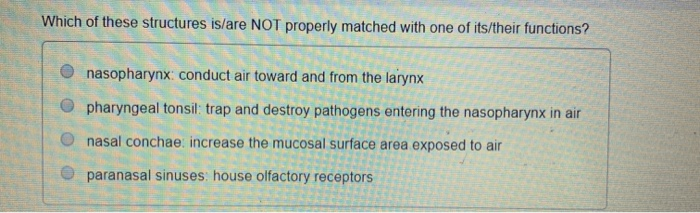 Which of these structures is/are NOT properly matched with one of its/their functions? nasopharynx: conduct air toward and fr