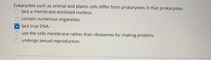Eukaryotes such as animal and plants cells differ from prokaryotes in that prokaryotes