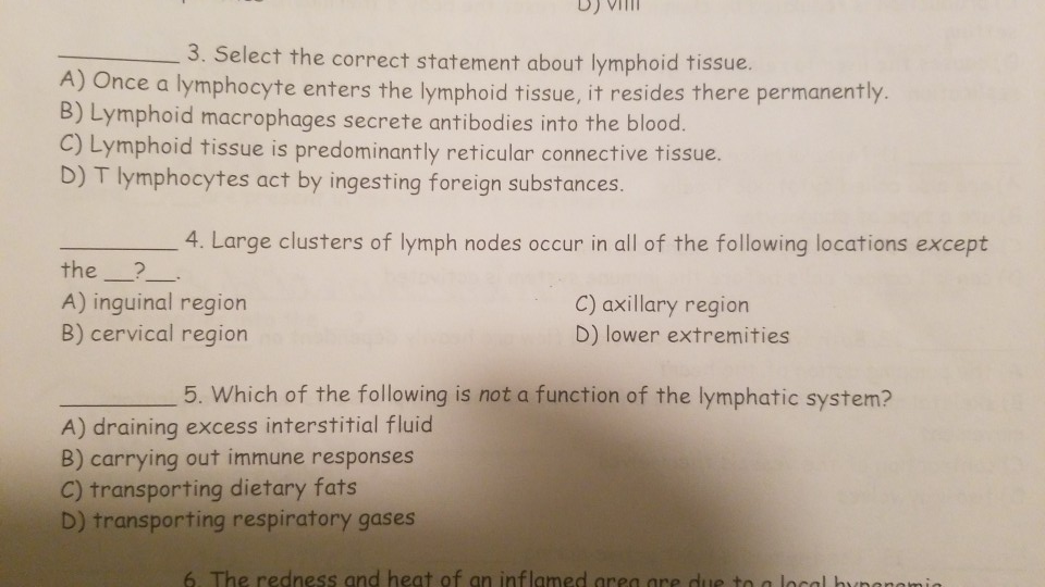 Select the correct statement about lymphoid tissue.