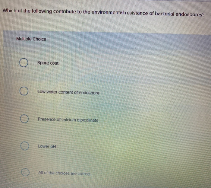 Which of the following contribute to the environmental resistance of bacterial endospores?