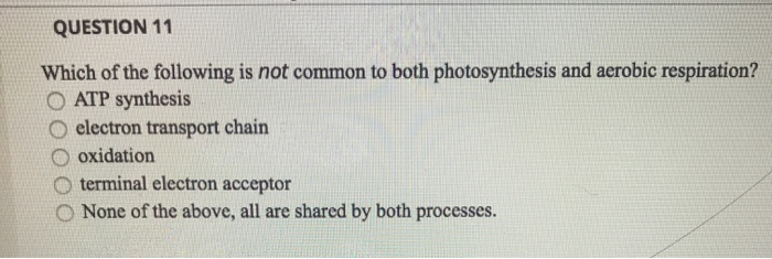 Which of the following is not common to photosynthesis and respiration?