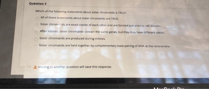 Which statement about sister chromatids is true?